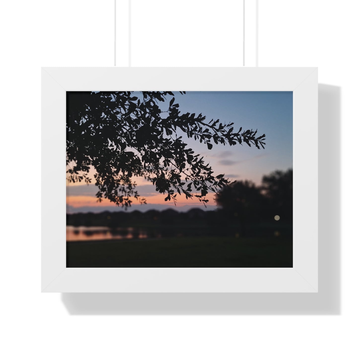 Evening Tree-Branch/ Framed Horizontal Poster