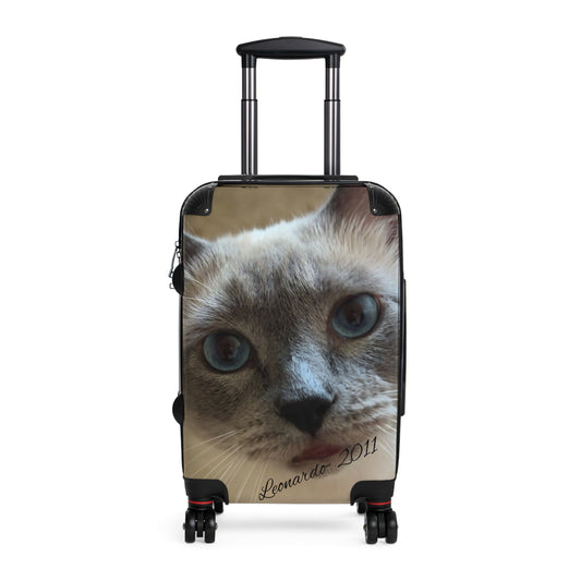 Catz suitcase