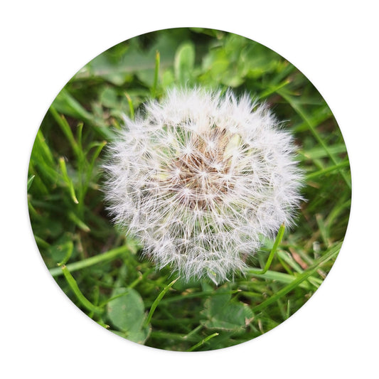 Dandelion/ Mouse Pad