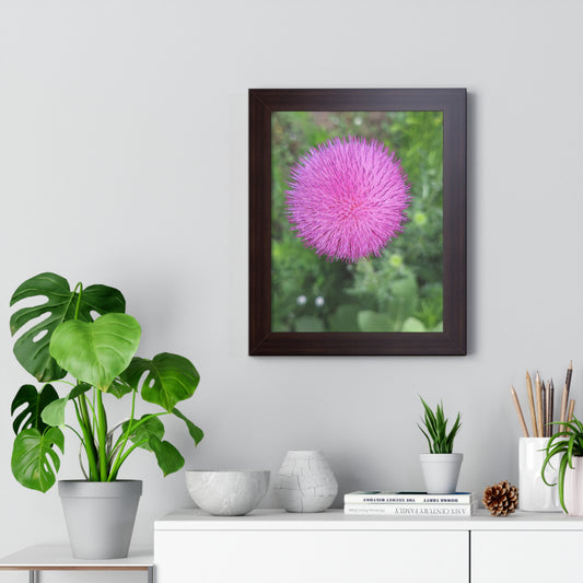 Flower Of The Day/Framed Vertical Poster