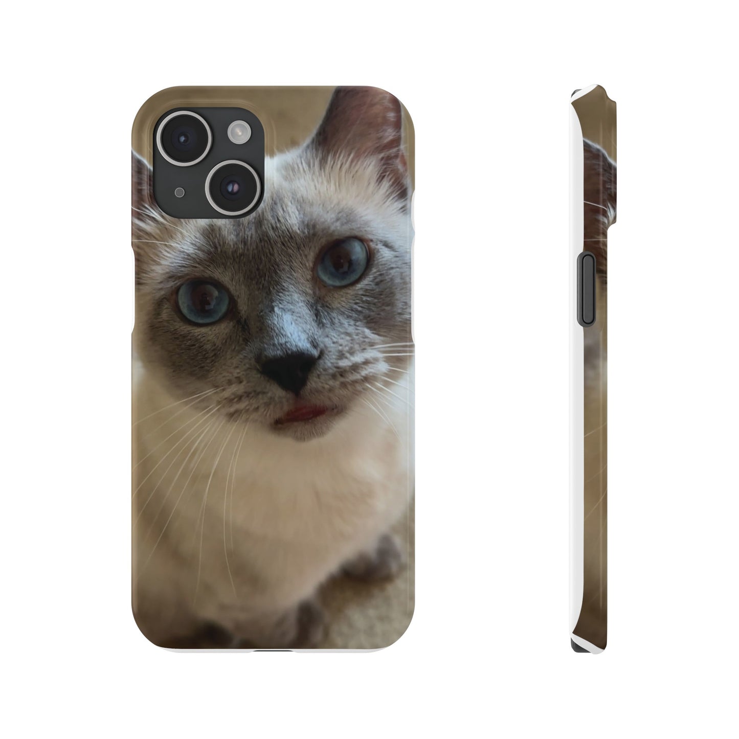 Leonardo - Iphone 15 case