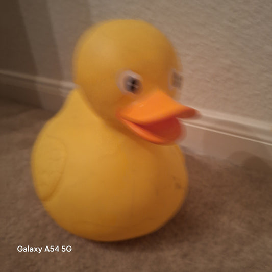 Bath duck