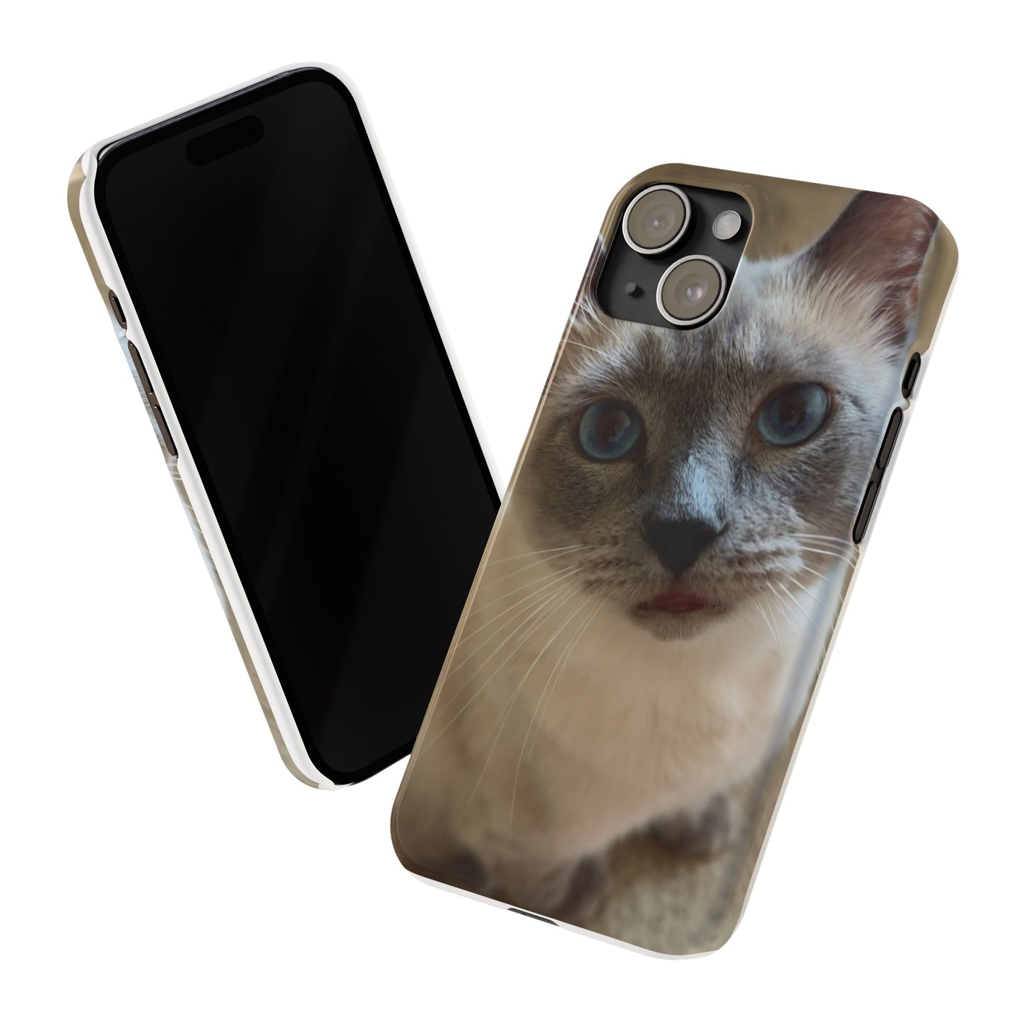 Leonardo - Iphone 15 case